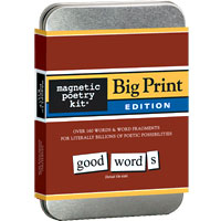 Big Print Magnetic Poetry Kit