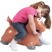 Dudley Horse Bumper