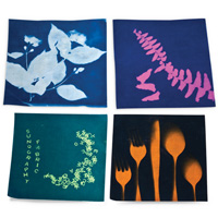 Sunography Fabric