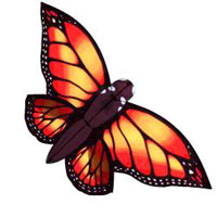 Monarch Butterfly Dye-Sublimation