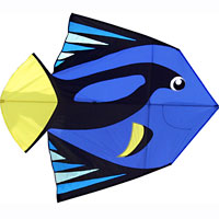 Dory Fish