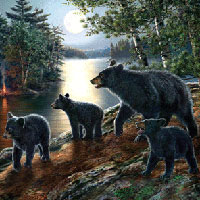 Cobble Hill Puzzles Bear Moon - 1000 pc