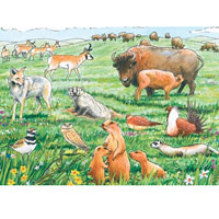 Cobble Hill Habitat Tray Puzzle - Life in the Prairie