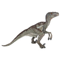 Velociraptor