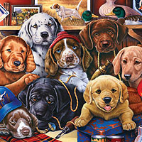 750 pc Furry Friends - Grandpas Pups