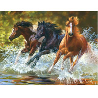 750 pc Running Wild - Splash