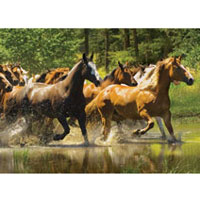1000 pc Panoramic - Racing Waters