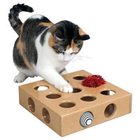 Peek-and-Play Toy Box