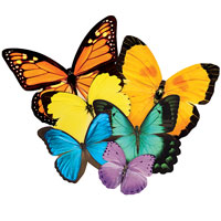 Puzzle Shapes - Butterflies - 500 pc
