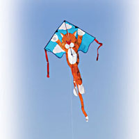 Large Easy Flyer - Tommycat