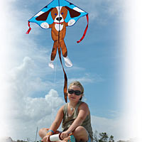 Large Easy Flyer - Sparky