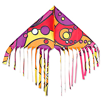 Fun Flyer Fringe Delta - Warm Orbit