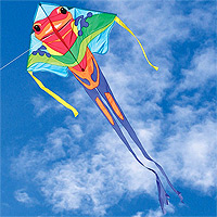 Large Easy Flyer - Poison Dart