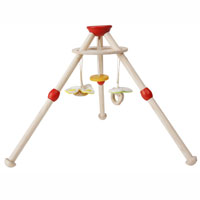Activity Baby Gym