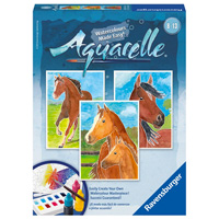 Aquarelle Midi - Horses
