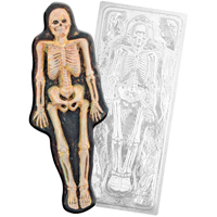 Skeleton Molds