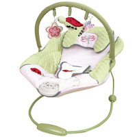 Lady Bug Bouncer