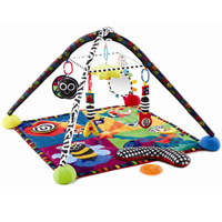 Rock and Roll Developmental Gym