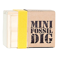 Mini Fossil Dig