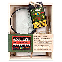 The Ancient Treasures Archaeology Kit