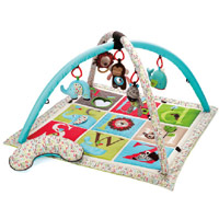 Alphabet Zoo Activity Gym