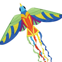 Fantasy Bird