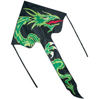 48 inch Dragon Best Flier