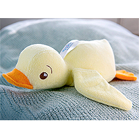 SoapSox