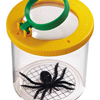 World's Best Bug Jar