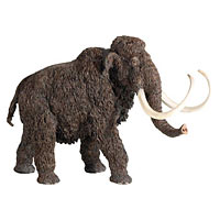 Woolly Mammoth - Carnegie Collectible