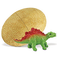 Stegosaurus Baby in an Egg