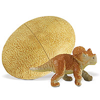 Triceratops Baby in an Egg