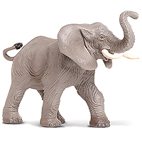 Wild Safari African Elephant
