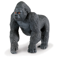 Wild Safari Lowland Gorilla