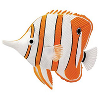 4D Copperband Butterfly Fish Puzzle