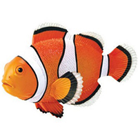 4D Clownfish Puzzle