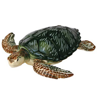 4D Green Turtle Puzzle