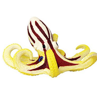 4D Octopus Siamensis Puzzle