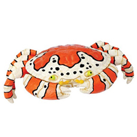 4D Clown Crab Puzzle