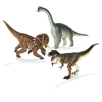 4D Dinosaur Puzzle Combo
