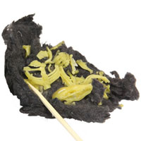 Real Owl Puke