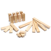 Tegu 22 Piece Endeavor Set