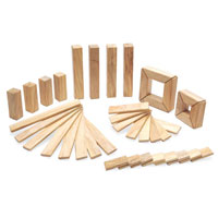 Tegu 40 Piece Explorer Set