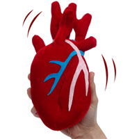 Plush Beating Heart