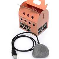 USB Pet Rock