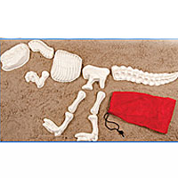 SandOSaurs T-Rex Dino Molds