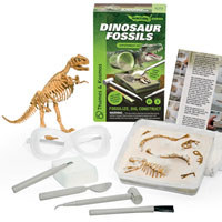 Ignition Series - Dinosaur Fossils