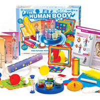 Little Labs - The Human Body