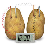 4M Potato Clock