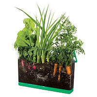 Deluxe Root Viewer